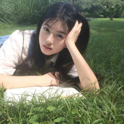 又见莲花海报